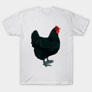 Jersey Giant Chicken T-Shirt